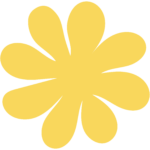 Illustration vectorielle d'une fleur type marguerite jaune 