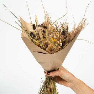 Bouquet de fleurs séchées tenue par une main en Corrèze