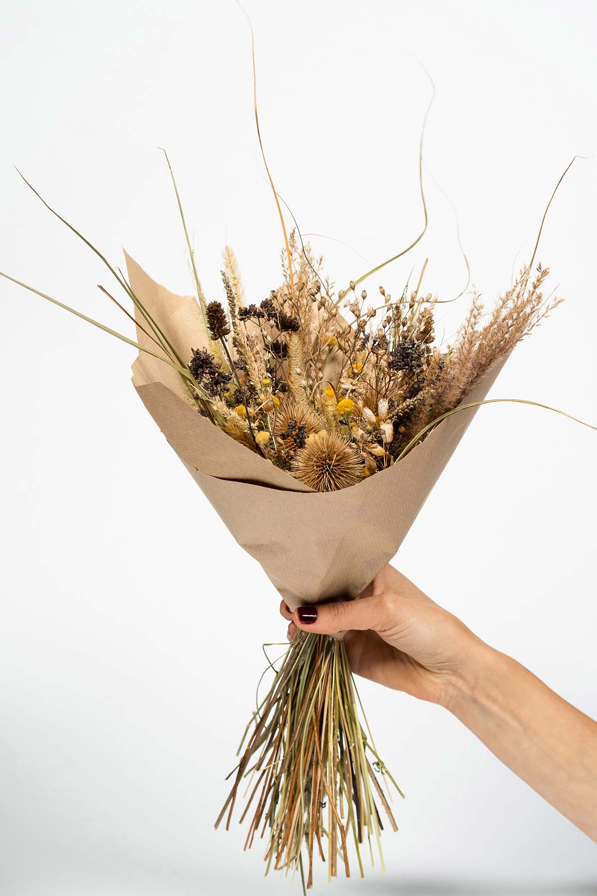 Bouquet de fleurs séchées tenue par une main en Corrèze
