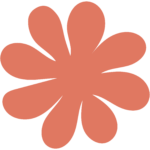 Illustration vectorielle d'une fleur type marguerite orange