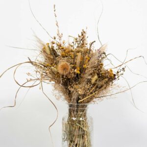Grand bouquet de fleurs séchées avec chardons et pampas dans un vase en verre transparent