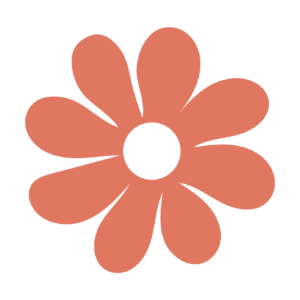 Illustration vectorielle d'une fleur type marguerite orange vide