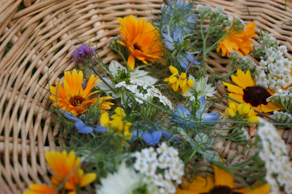 Gros plan d'un panier en osier dans l'herbe rempli de fleurs coloréesau sein de l'atelier boutique