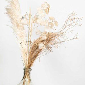 Vase type dame jeanne en verre transparent contenant des pampas, monnaie du pape et graminées