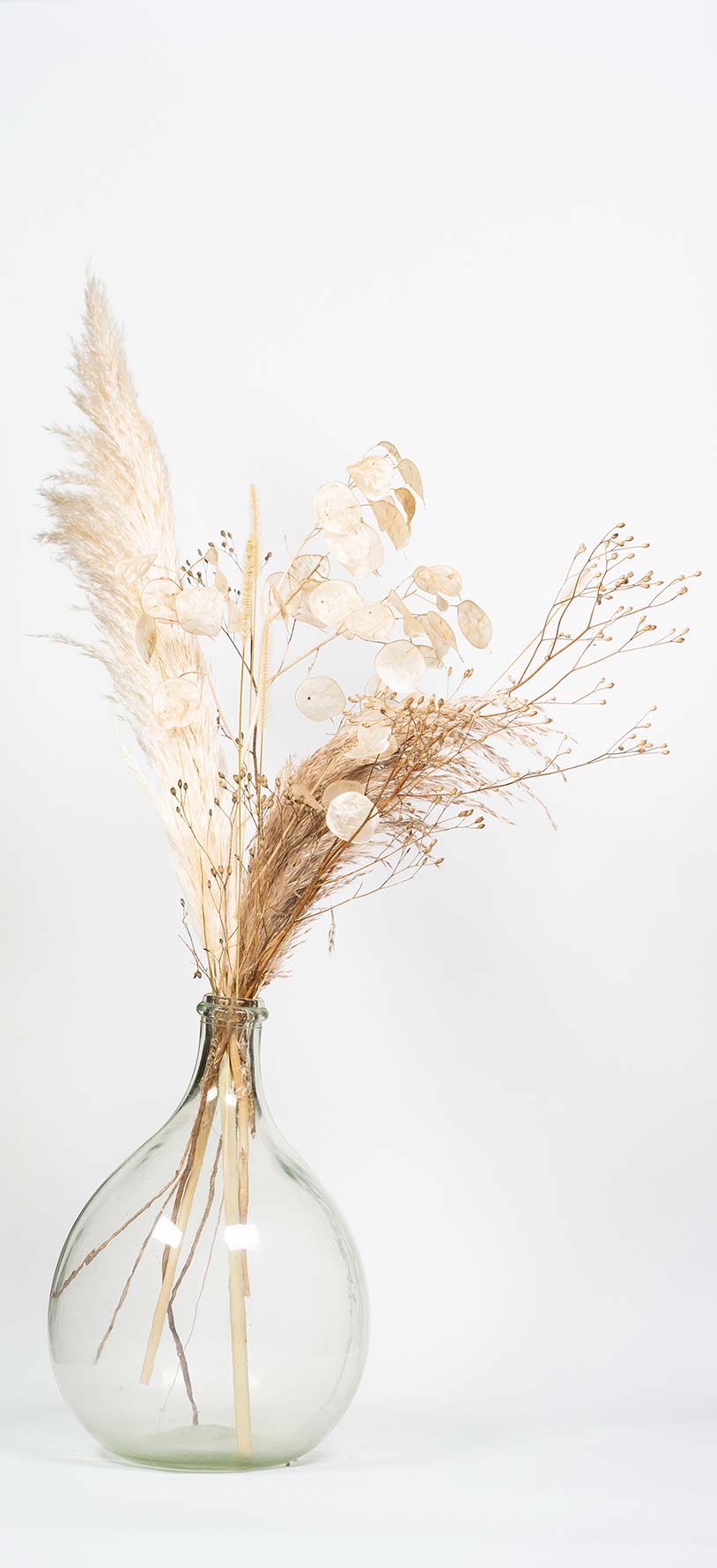 Vase type dame jeanne en verre transparent contenant des pampas, monnaie du pape et graminées