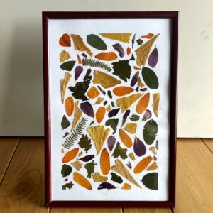 Herbier abstrait composé de morceaux de fleurs et pétales séchées naturelles et colorées Cadre rouge verni