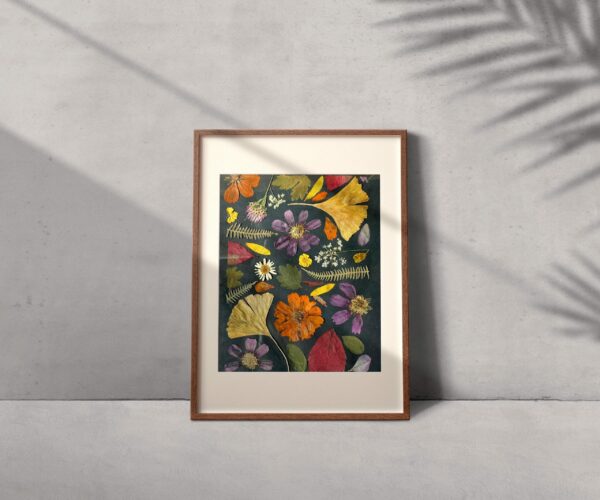 Herbier de fleurs pressees colorees sur fond noir et cadre en bois