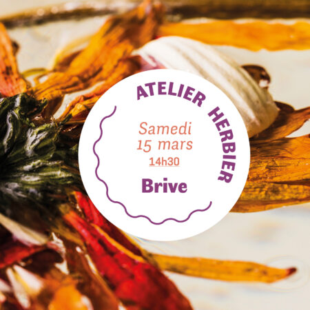 Vignette indiquant " atelier herbier - fleurs pressées - samedi 15 mars Brive" sur fond de fleurs