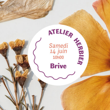 ATELIER HERBIER 14|06