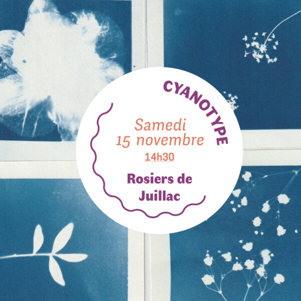 ATELIER CYANOTYPE 15 | 11