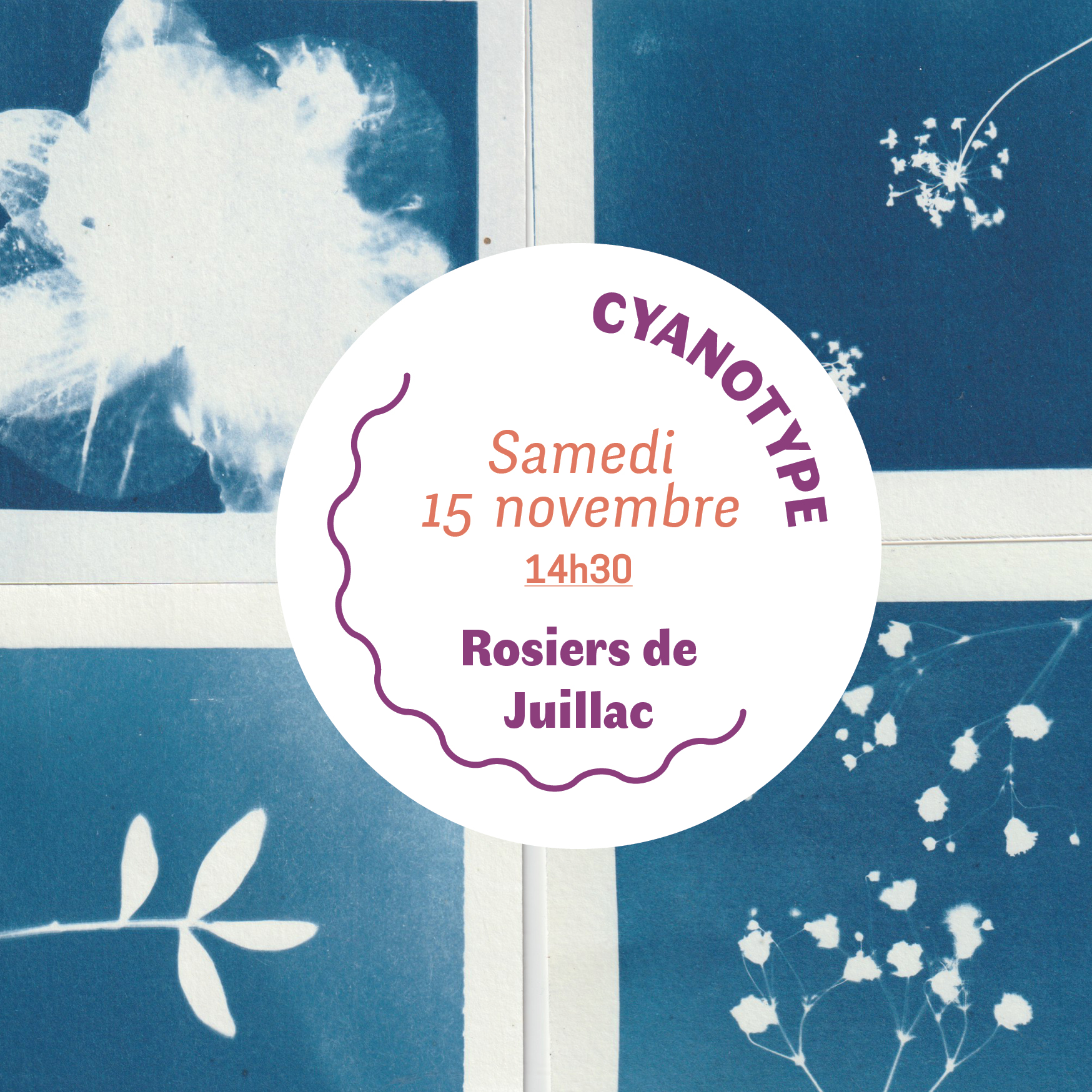 ATELIER CYANOTYPE 15|12