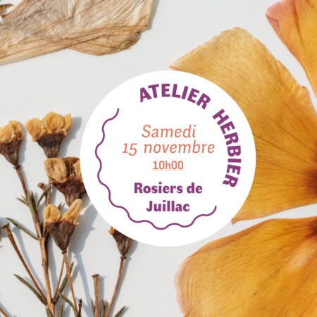 Vignette indiquant " atelier herbier - fleurs pressées - samedi 15 novembre" sur fond de fleurs