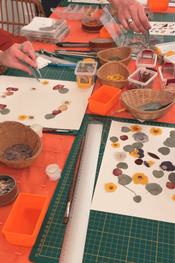 Atelier de creation d'herbier de fleurs pressees à Brive la Gaillarde Correze