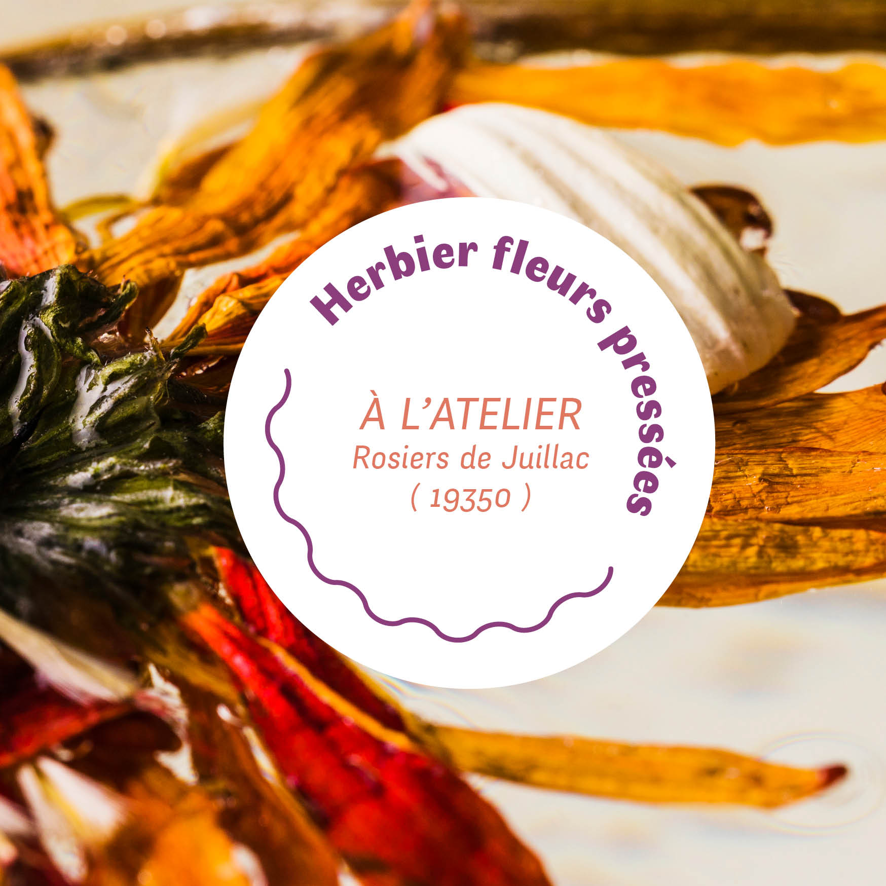 Vignette atelier cyanotype correze avec