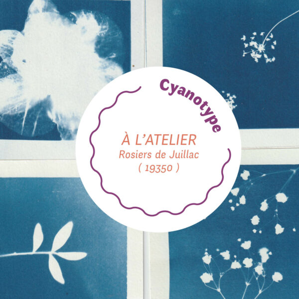 Vignette atelier cyanotype correze avec différentes impressions en cyanotype