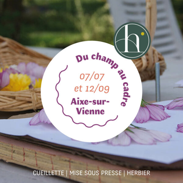 Vignette d'un atelier cueillette, mise sous presse et herbier dans une ferme florale en Limousin / Haute-Vienne / Correze