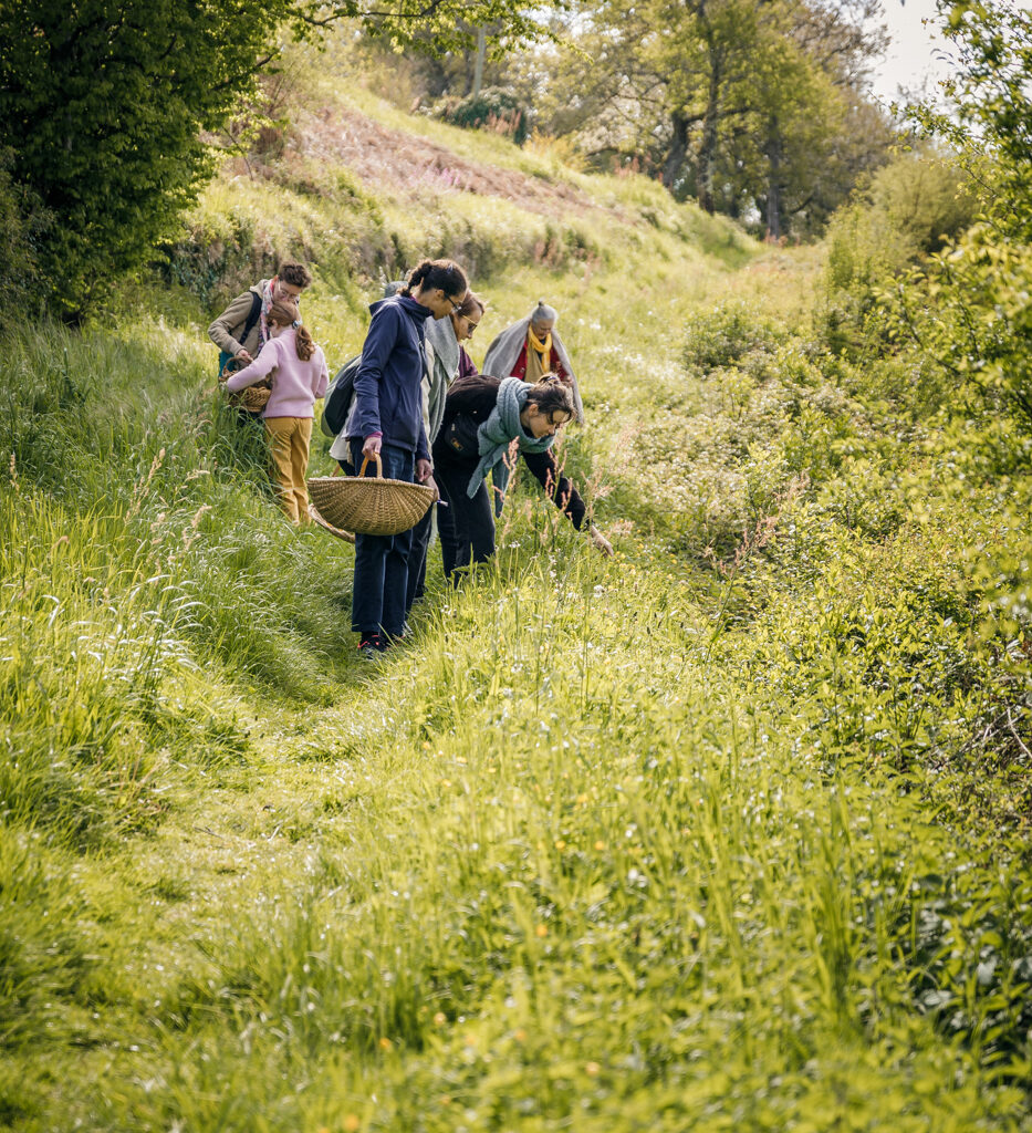 Credit photo : ©Pauline De Vos - https://www.paulinedevos.fr/