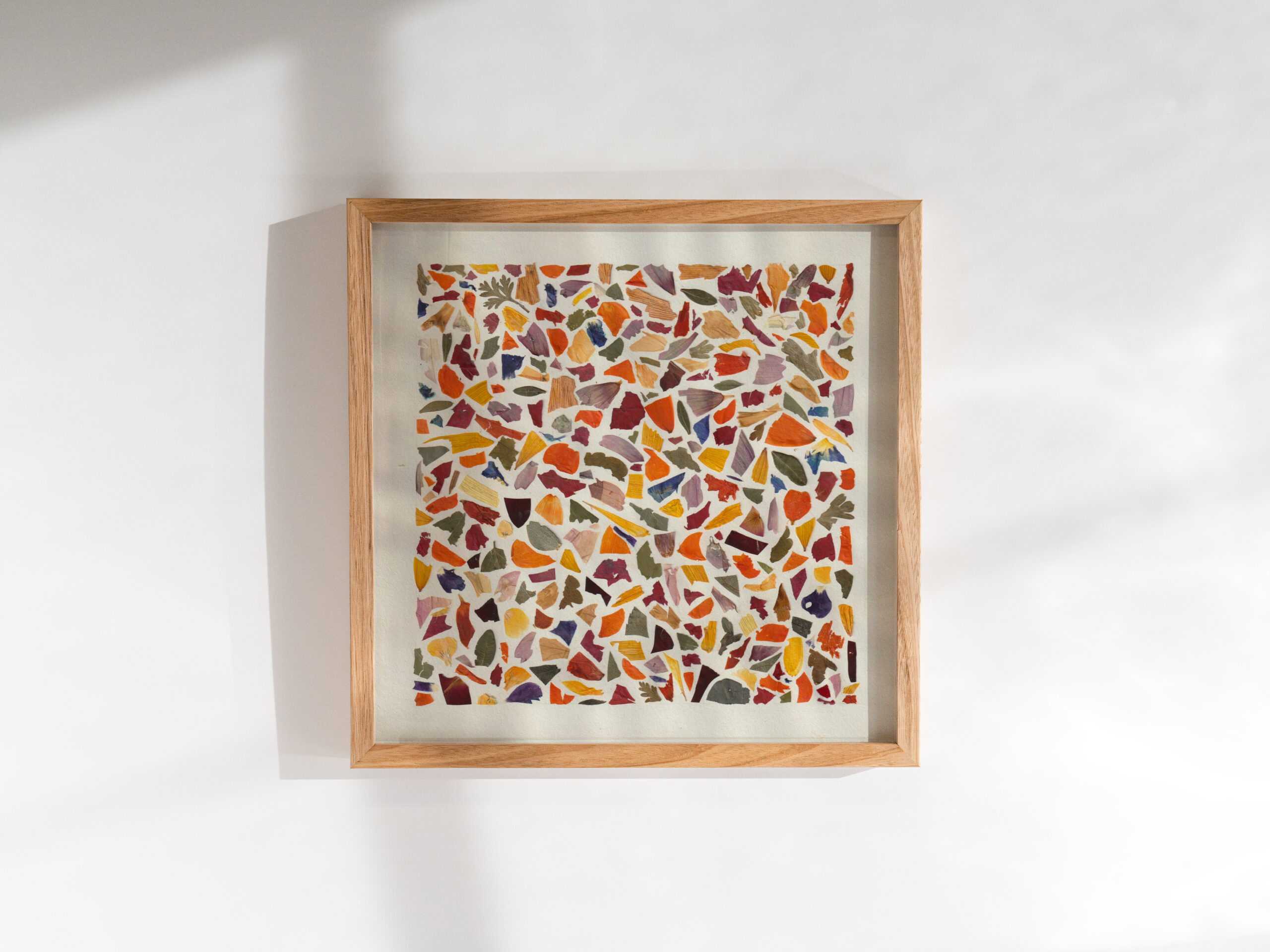 Cadre décoratif, herbier de fleurs pressées sous forme de fragments de fleurs et feuillages et autres végétaux